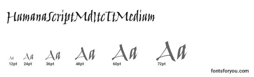 Размеры шрифта HumanaScriptMdItcTtMedium
