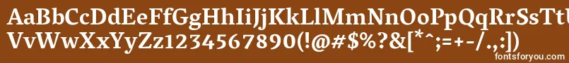 フォントVesperlibreBold – 茶色の背景に白い文字