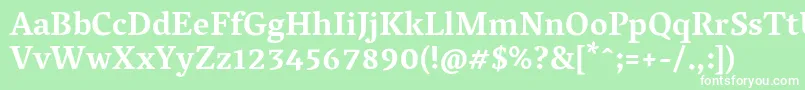 フォントVesperlibreBold – 緑の背景に白い文字