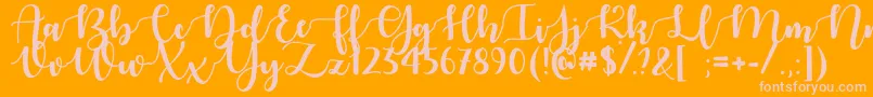 AutumnInNovemberOtf Font – Pink Fonts on Orange Background