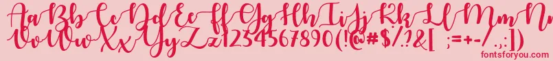 AutumnInNovemberOtf Font – Red Fonts on Pink Background