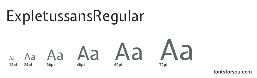 Размеры шрифта ExpletussansRegular