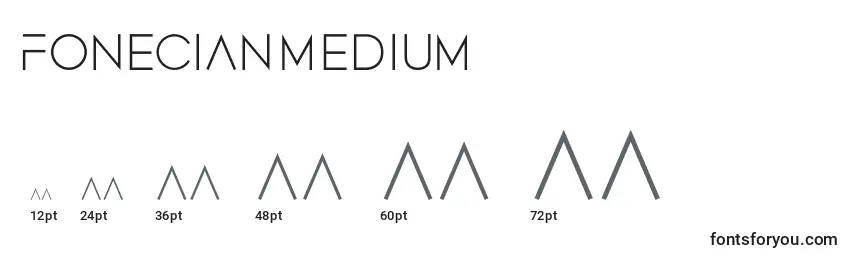 FonecianMedium Font Sizes