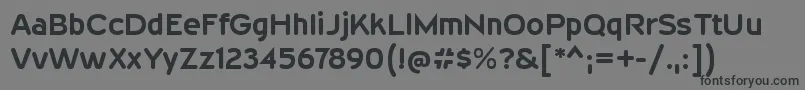 WevlirgBold Font – Black Fonts on Gray Background
