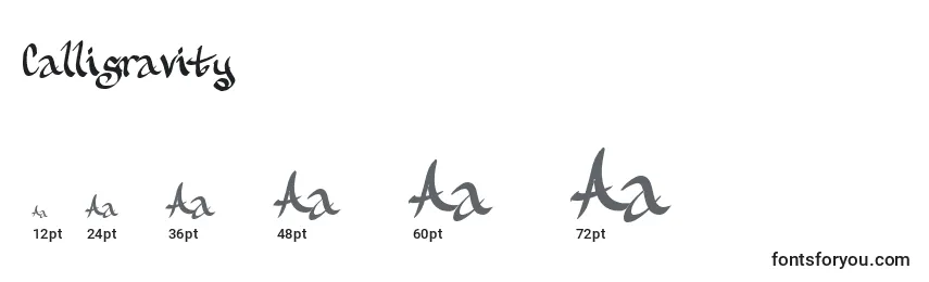 Размеры шрифта Calligravity