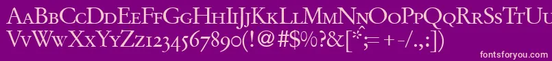 GaramondoriginalsmcRegularDb Font – Pink Fonts on Purple Background