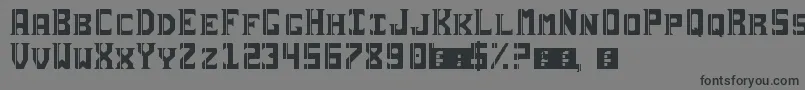 Sai19Serif Font – Black Fonts on Gray Background