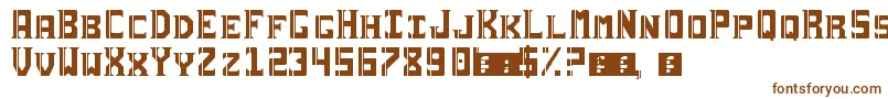 Sai19Serif Font – Brown Fonts