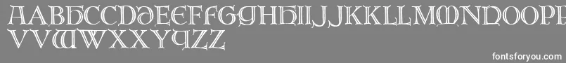 Brandegoris Font – White Fonts on Gray Background