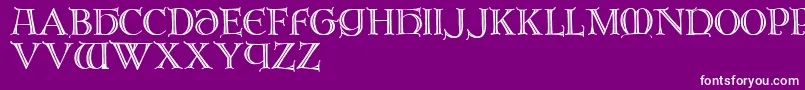 Brandegoris Font – White Fonts on Purple Background