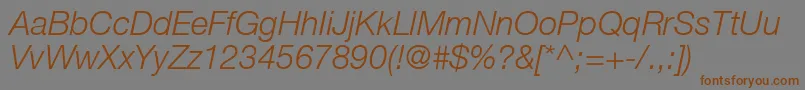 HelveticaLt46LightItalic Font – Brown Fonts on Gray Background