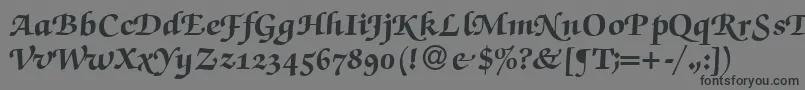 ZabriskiescriptswashHeavyRegular Font – Black Fonts on Gray Background