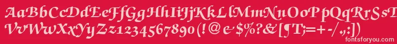 ZabriskiescriptswashHeavyRegular-Schriftart – Rosa Schriften auf rotem Hintergrund