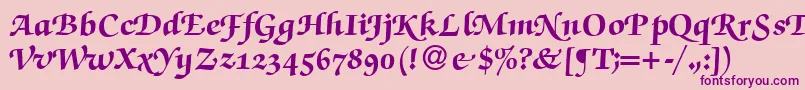 More about ZabriskiescriptswashHeavyRegular Font ZabriskiescriptswashHeavyRegular Font – Purple Fonts on Pink Background