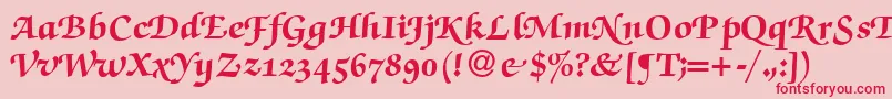 ZabriskiescriptswashHeavyRegular Font – Red Fonts on Pink Background