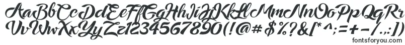 Ampera Font – Label Fonts