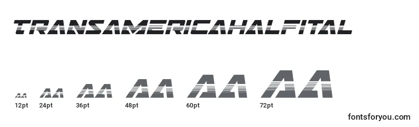 Размеры шрифта Transamericahalfital