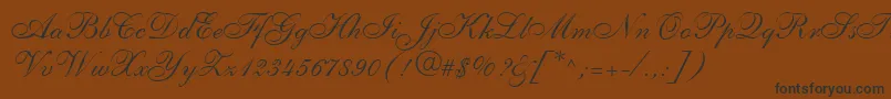 ShelleyLtAllegroScript Font – Black Fonts on Brown Background