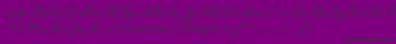 ShelleyLtAllegroScript Font – Black Fonts on Purple Background