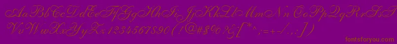 フォントShelleyLtAllegroScript – 紫色の背景に茶色のフォント