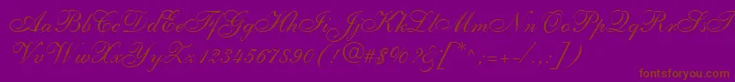 Fonte ShelleyLtAllegroScript – fontes marrons em um fundo roxo