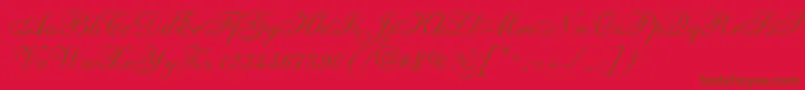 ShelleyLtAllegroScript Font – Brown Fonts on Red Background