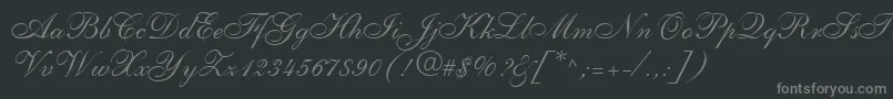 ShelleyLtAllegroScript-fontti – harmaat kirjasimet mustalla taustalla