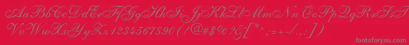 ShelleyLtAllegroScript Font – Gray Fonts on Red Background