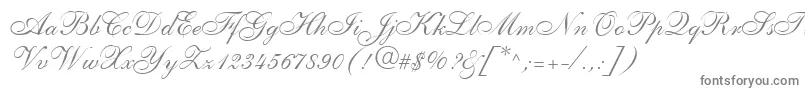 ShelleyLtAllegroScript Font – Gray Fonts on White Background