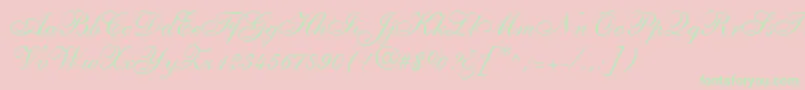 ShelleyLtAllegroScript-Schriftart – Grüne Schriften auf rosa Hintergrund