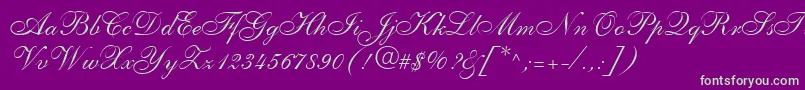 ShelleyLtAllegroScript-Schriftart – Grüne Schriften auf violettem Hintergrund