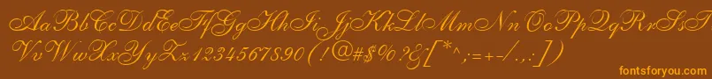 ShelleyLtAllegroScript Font – Orange Fonts on Brown Background