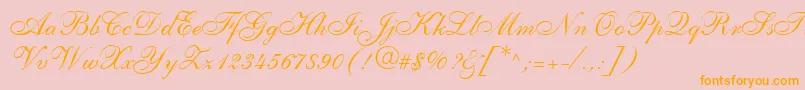 ShelleyLtAllegroScript Font – Orange Fonts on Pink Background