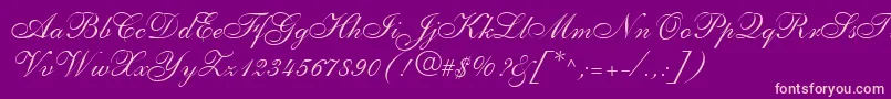 ShelleyLtAllegroScript Font – Pink Fonts on Purple Background