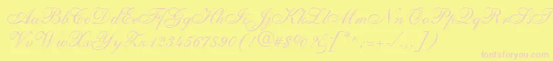 フォントShelleyLtAllegroScript – ピンクのフォント、黄色の背景