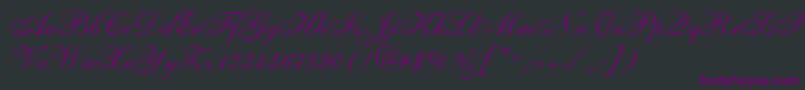 フォントShelleyLtAllegroScript – 黒い背景に紫のフォント
