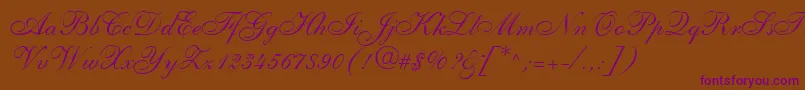 ShelleyLtAllegroScript Font – Purple Fonts on Brown Background