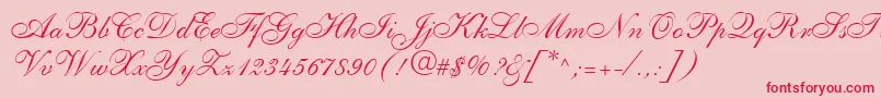 ShelleyLtAllegroScript-Schriftart – Rote Schriften auf rosa Hintergrund