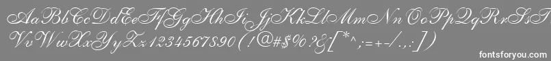 フォントShelleyLtAllegroScript – 灰色の背景に白い文字