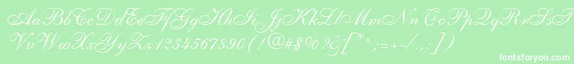 ShelleyLtAllegroScript Font – White Fonts on Green Background