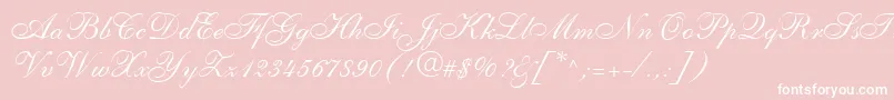 ShelleyLtAllegroScript-Schriftart – Weiße Schriften auf rosa Hintergrund