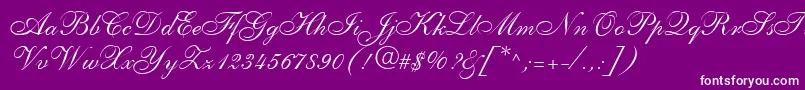 フォントShelleyLtAllegroScript – 紫の背景に白い文字