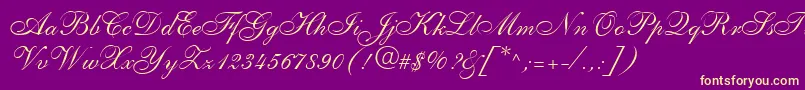 ShelleyLtAllegroScript Font – Yellow Fonts on Purple Background