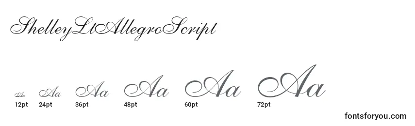 ShelleyLtAllegroScript Font Sizes