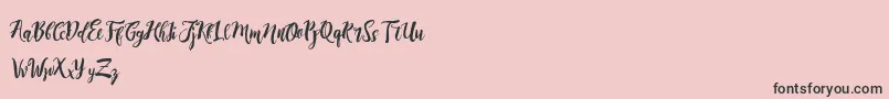 フォントDirtylineRisingBrushFree – ピンクの背景に黒い文字