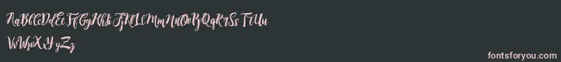 DirtylineRisingBrushFree Font – Pink Fonts on Black Background