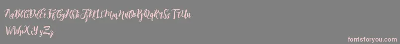 DirtylineRisingBrushFree Font – Pink Fonts on Gray Background
