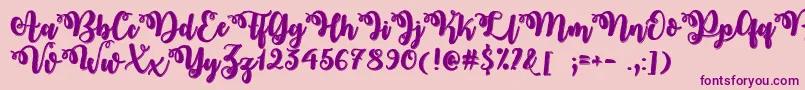 MidnightInOctoberOtf Font – Purple Fonts on Pink Background