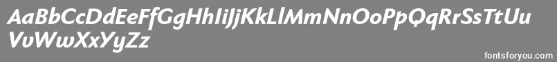 Czcionka Fabersanspro86reduced – białe czcionki na szarym tle