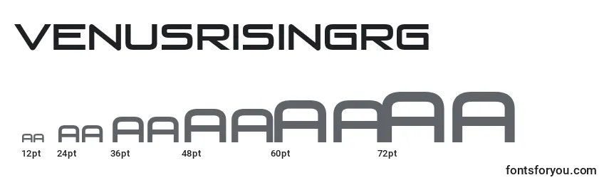 VenusRisingRg Font Sizes